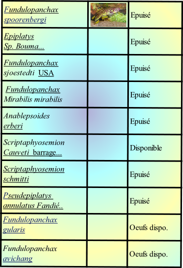 Fundulopanchax avichang