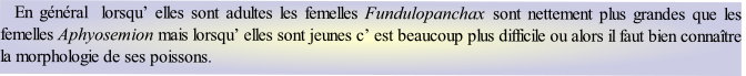   En général  lorsqu’ elles sont adultes les femelles Fundulopanchax sont nettement plus grandes que les femelles Aphyosemion mais lorsqu’ elles sont jeunes c’ est beaucoup plus difficile ou alors il faut bien connaître la morphologie de ses poissons.