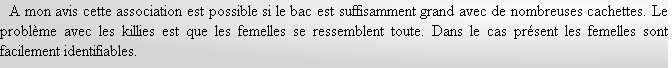   A mon avis cette association est possible si le bac est suffisamment grand avec de nombreuses cachettes. Le problème avec les killies est que les femelles se ressemblent toute. Dans le cas présent les femelles sont facilement identifiables.