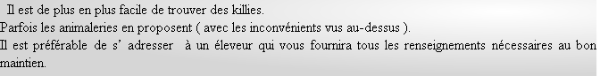   Il est de plus en plus facile de trouver des killies.
Parfois les animaleries en proposent ( avec les inconvénients vus au-dessus ).
Il est préférable de s’ adresser  à un éleveur qui vous fournira tous les renseignements nécessaires au bon maintien.