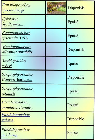 Fundulopanchax avichang